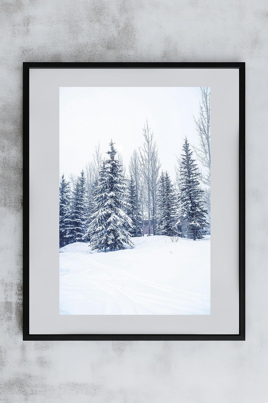 Aspen 2