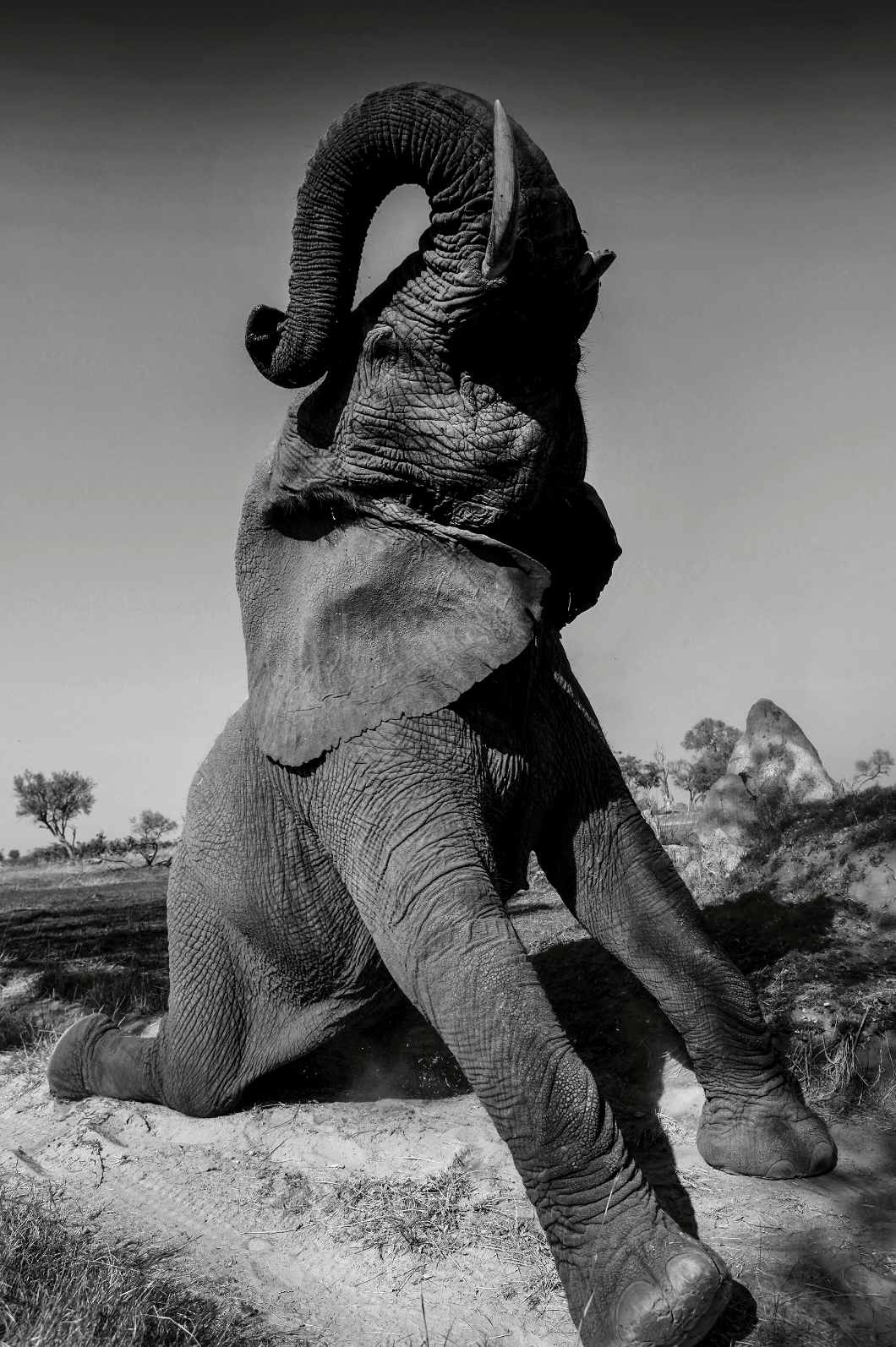 Botswana 1