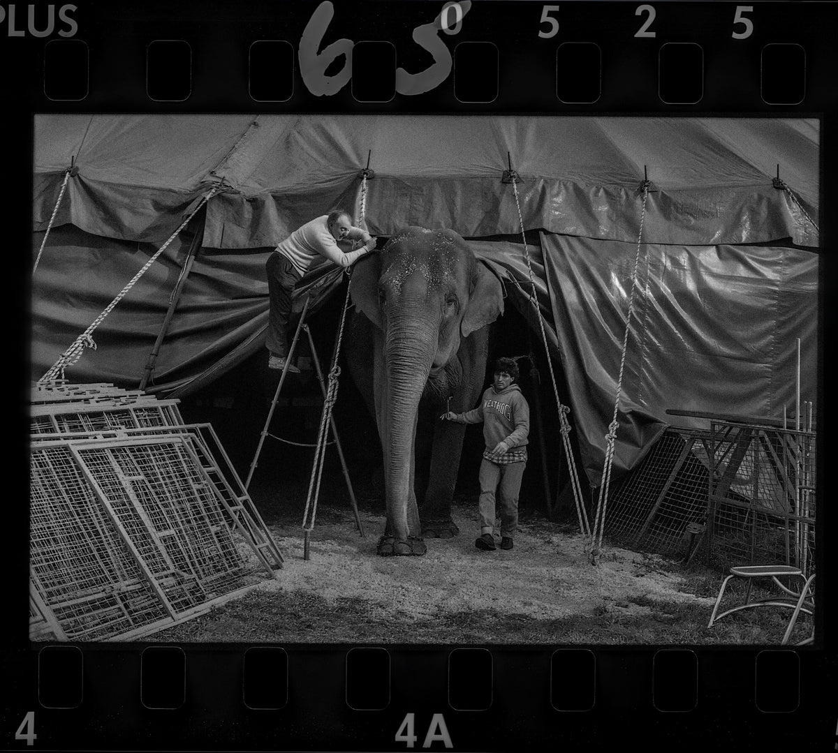 Circus Signature 4