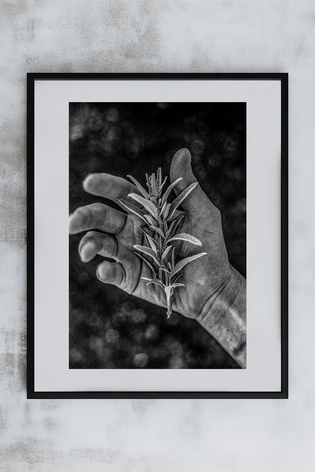 Igni 22 print example