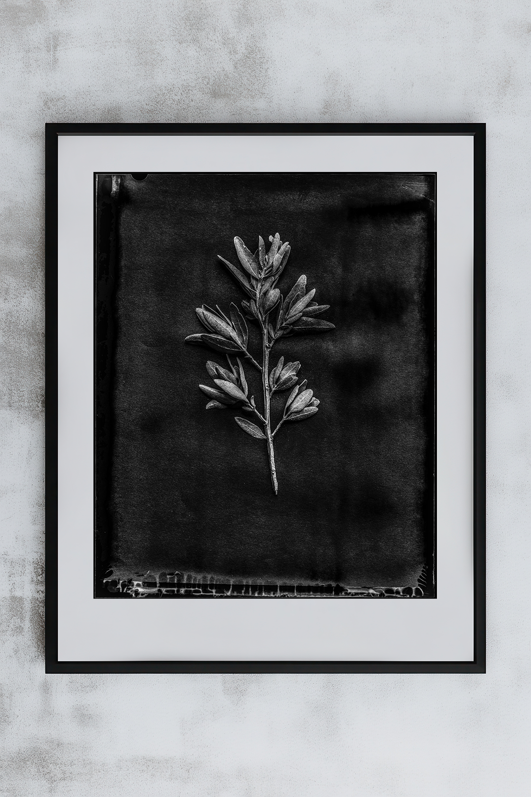 Igni 24 6x7 print example
