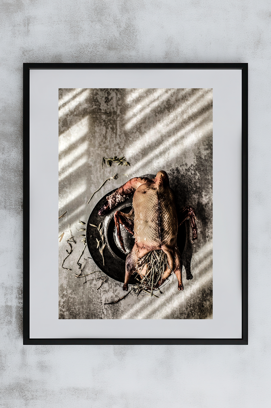 Igni 9 print example