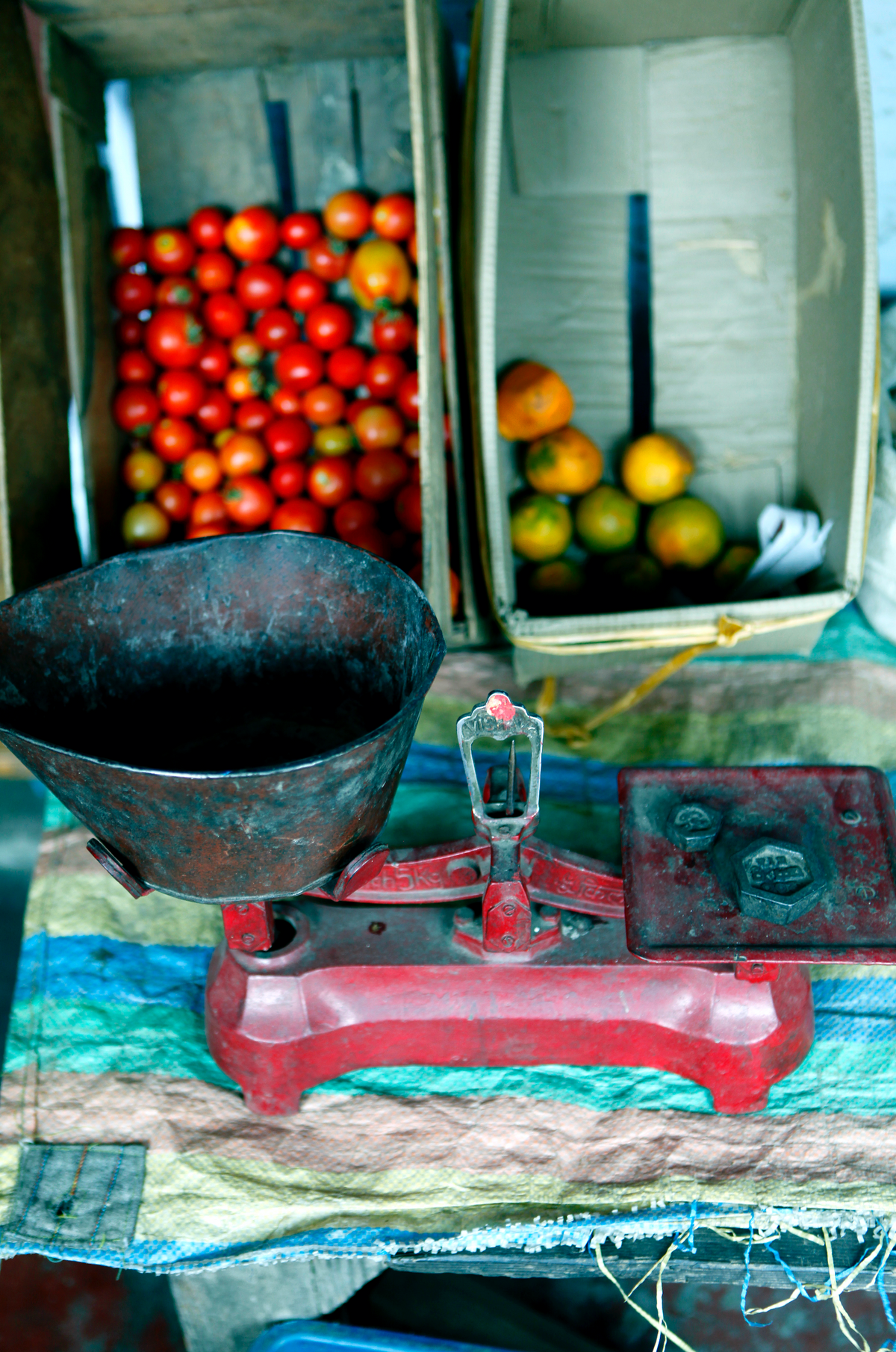 India 2 fine art print