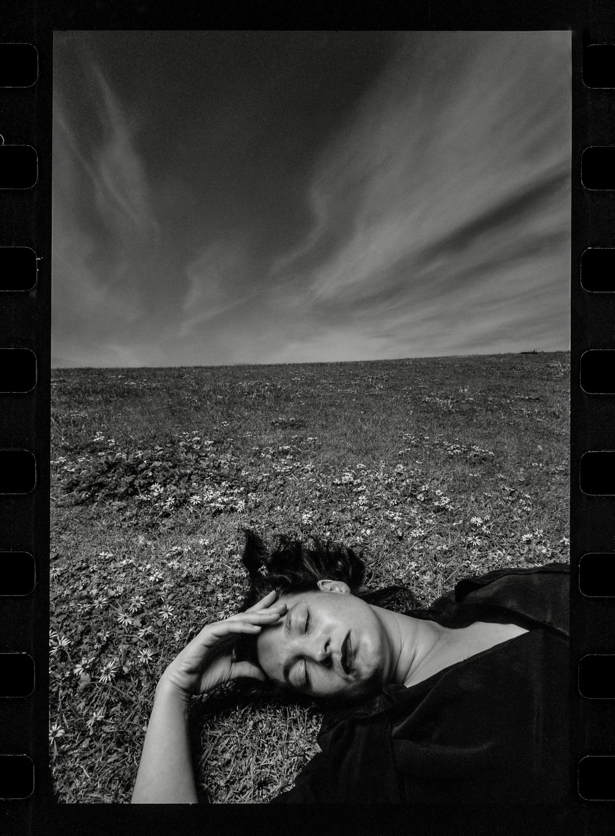 Sleeper Signature - fine art print