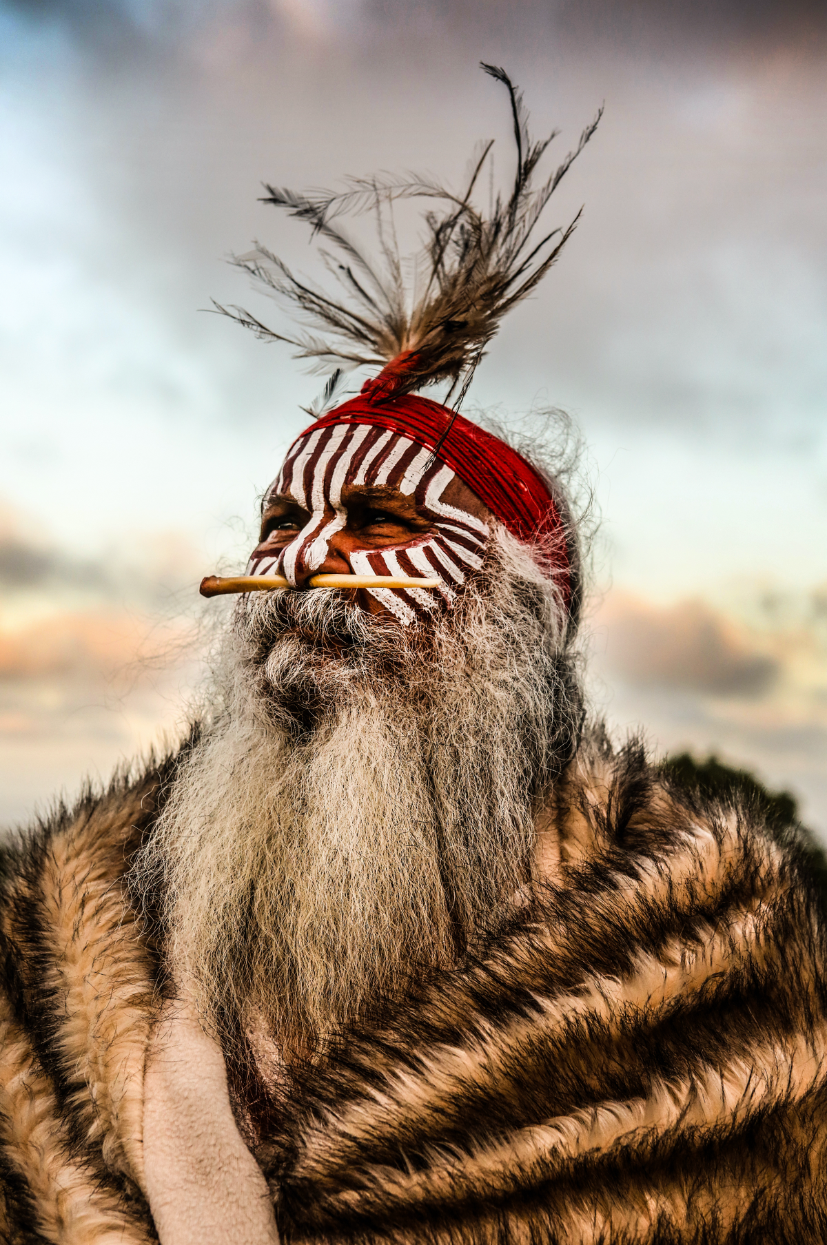 Sequoia 2 - fine art print by Julian Kingma