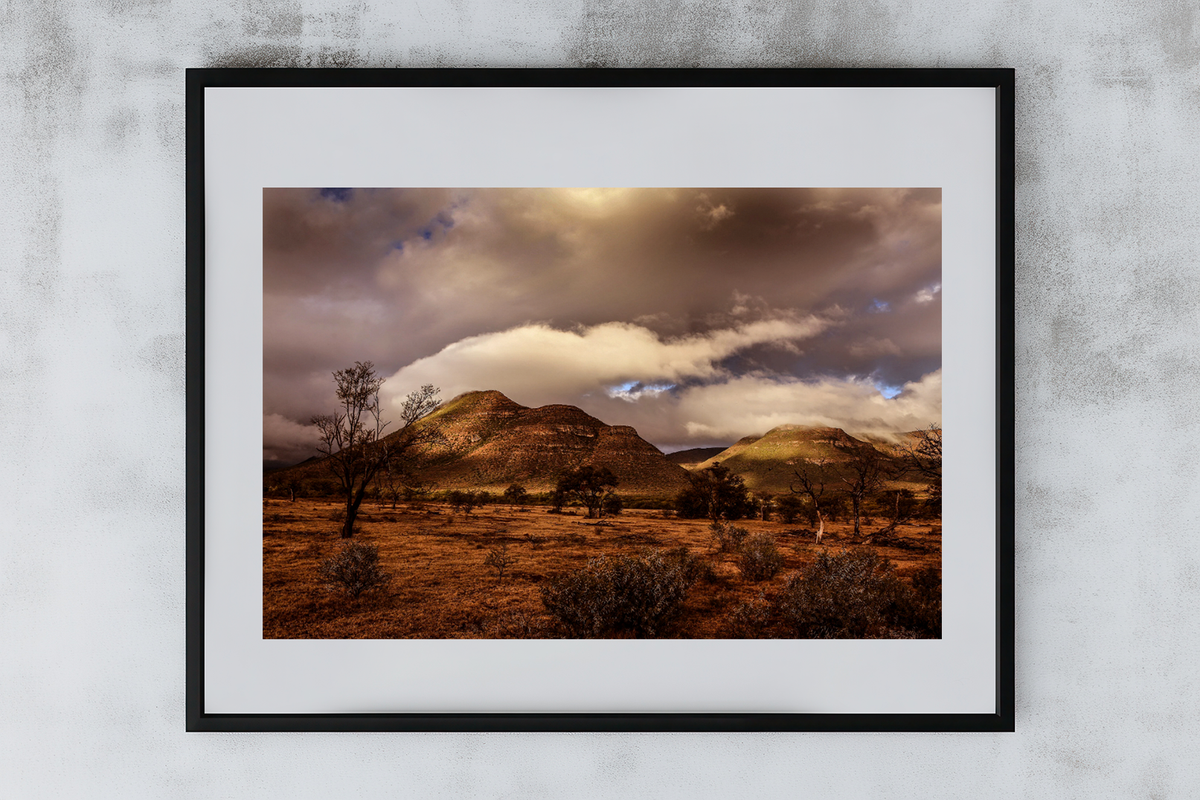 Sth Africa 1