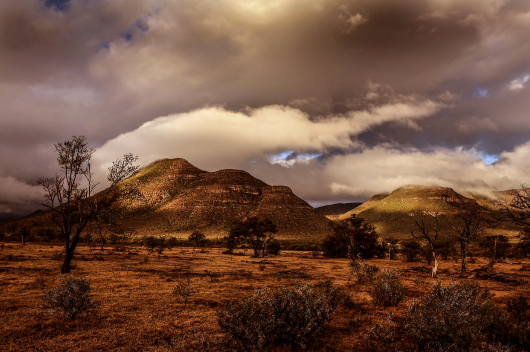 Sth Africa 1