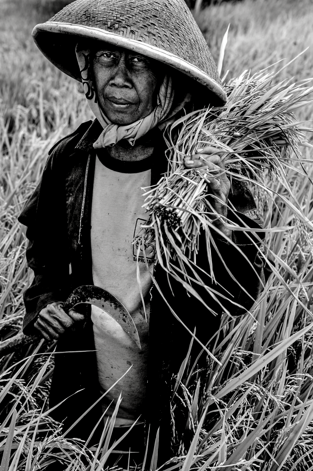 Sumba 2