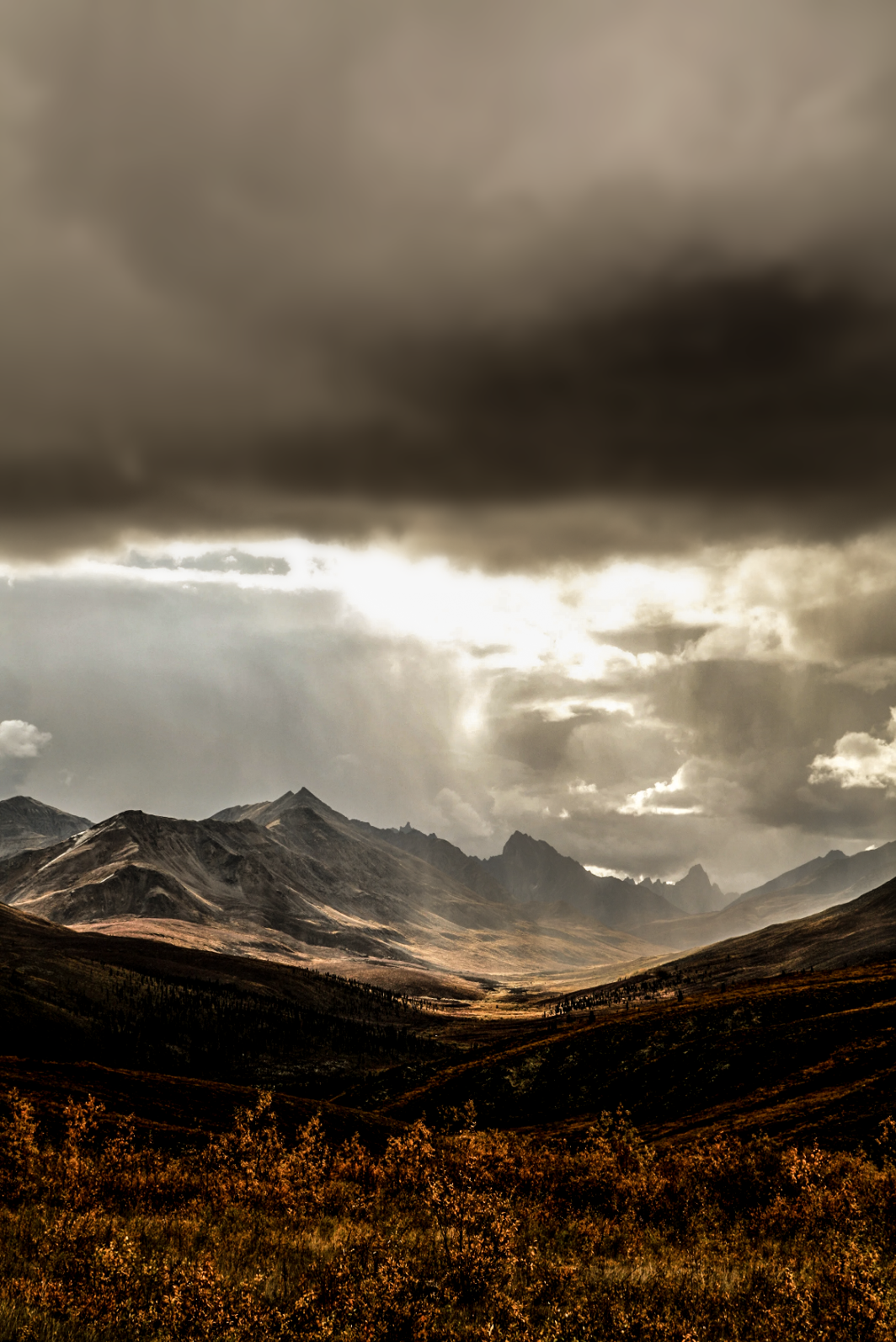 Yukon 1