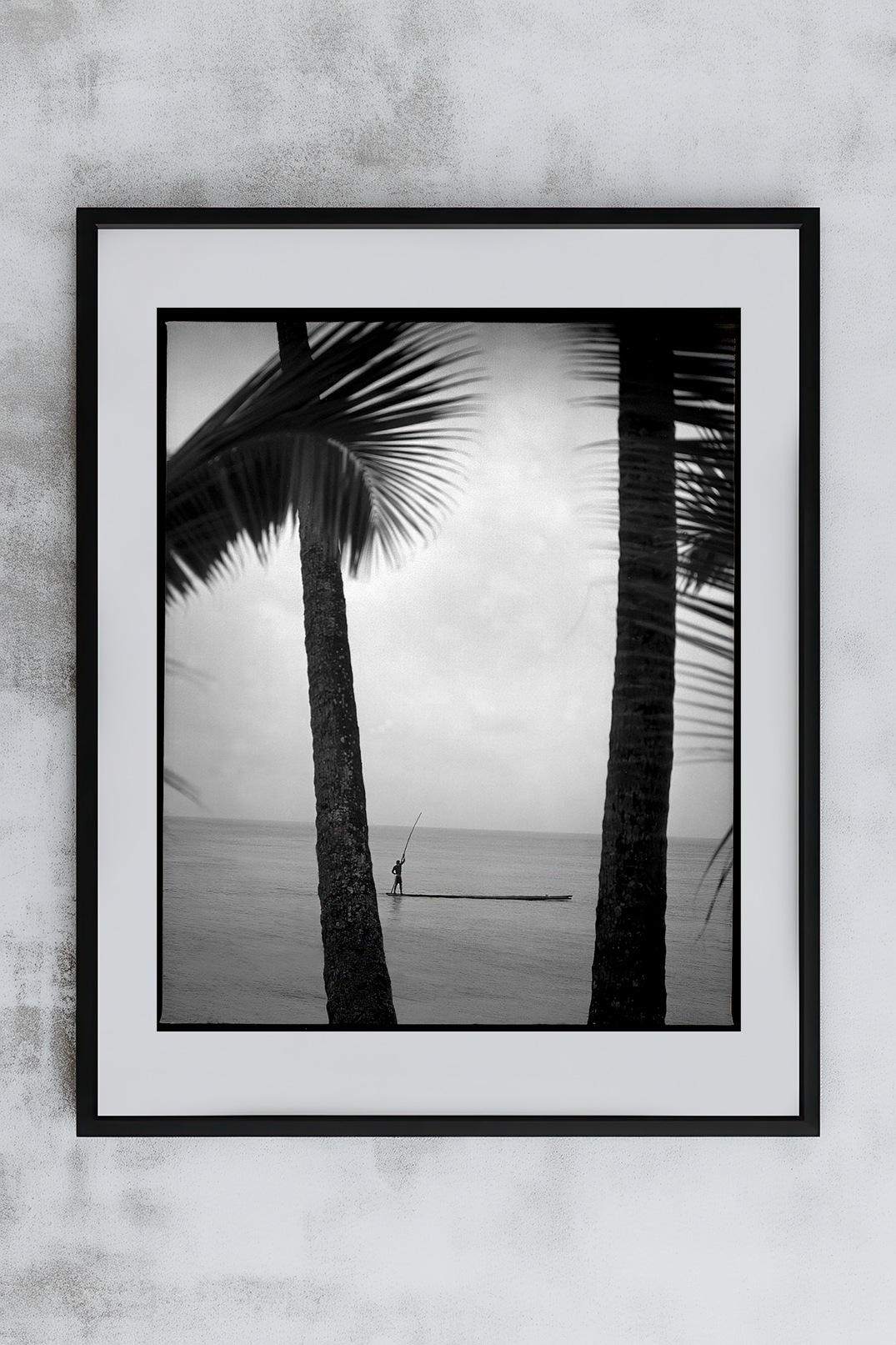 Fiji International Signature 24 6x7