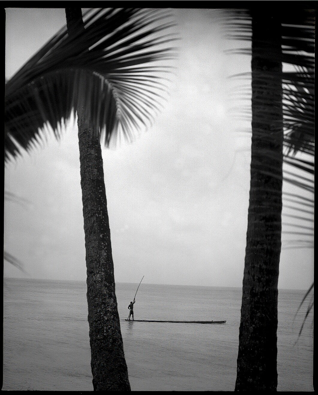 Fiji International Signature 24 6x7