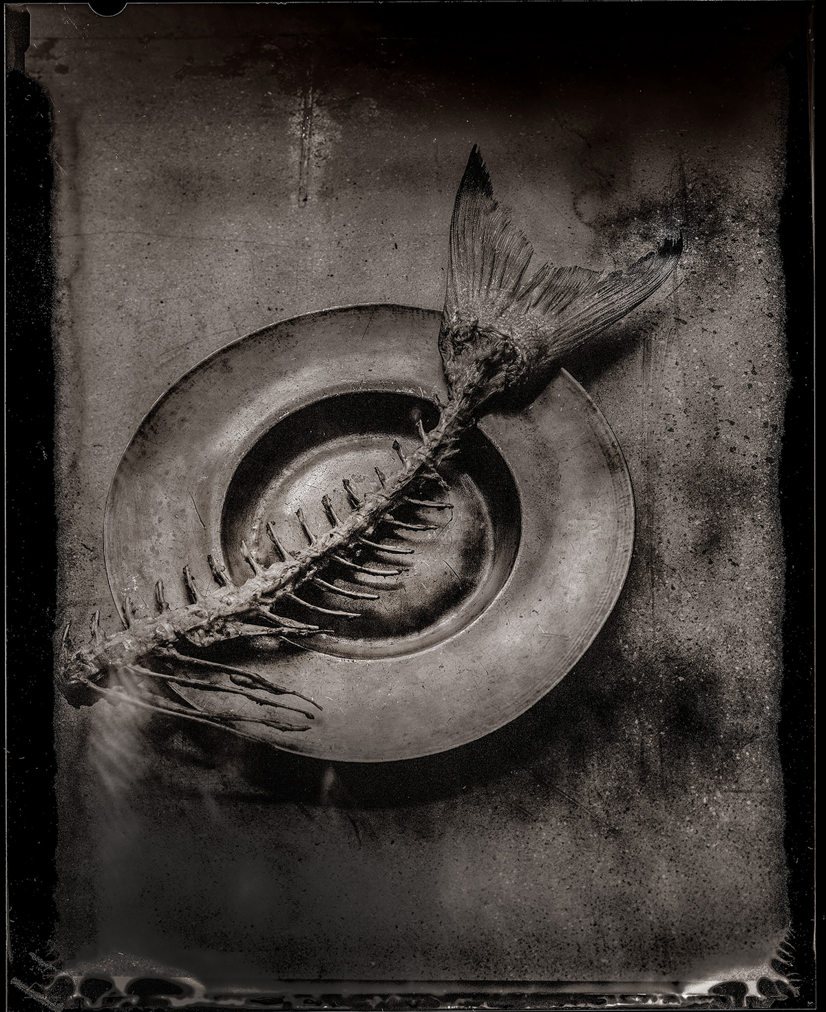 Igni 13 fine art print