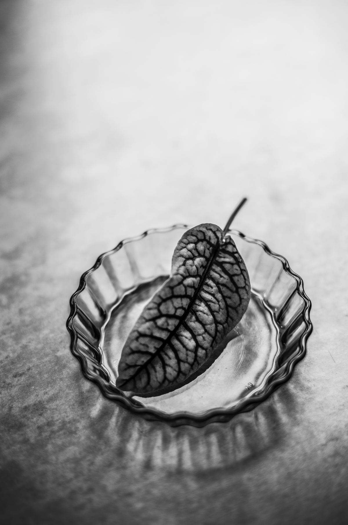Igni 20 fine art print