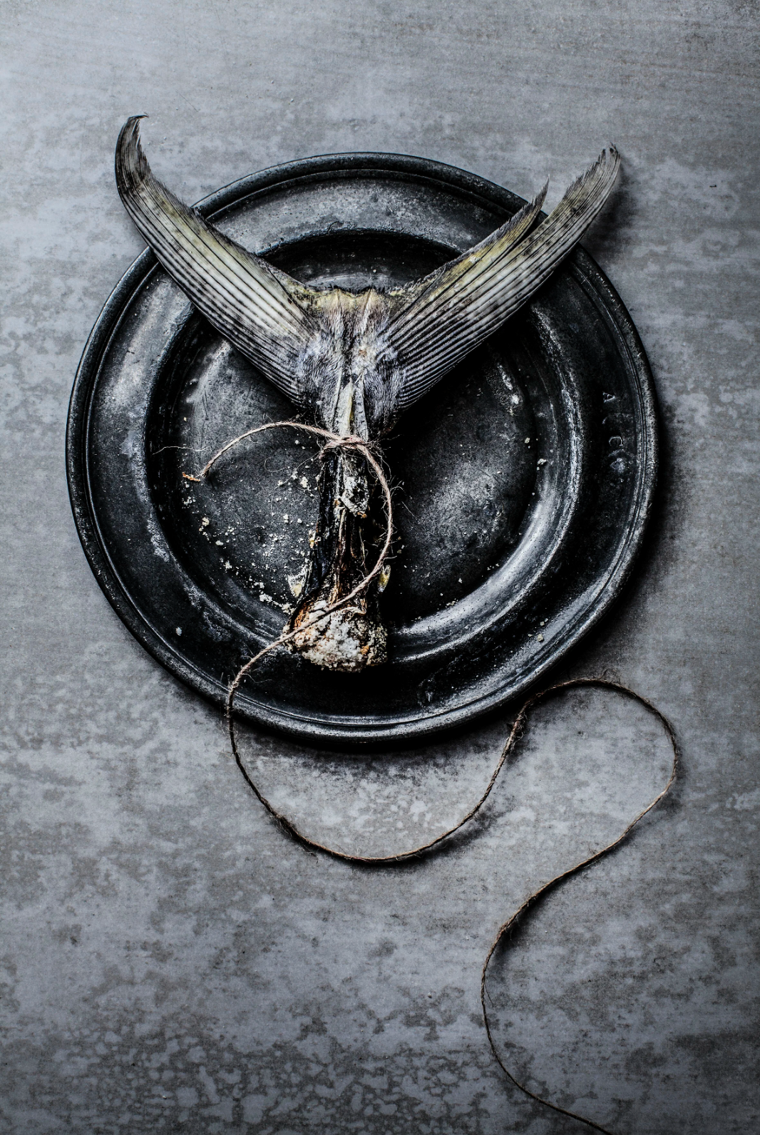 Igni 6 fine art print
